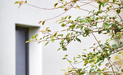 HABITATION PL HABITATION PL